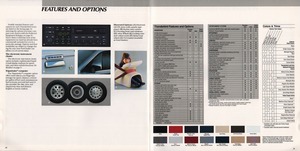 1986 Ford Thunderbird-20-21.jpg